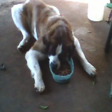 tião