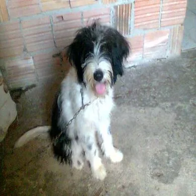 Duquesa