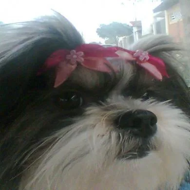 Chiquita Lourenço