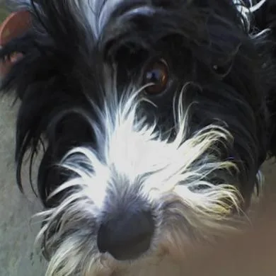 Billy