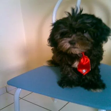 Winston Monet