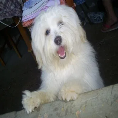 sammy