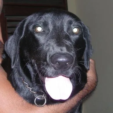 Lua