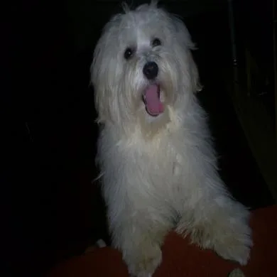 Sammy