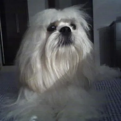 Théo