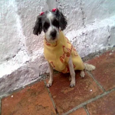 Lilica
