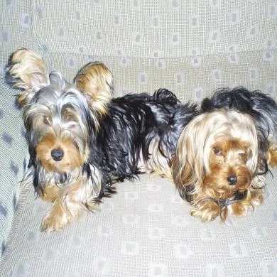 Nick e Suzy