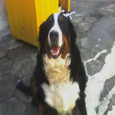 Bambina