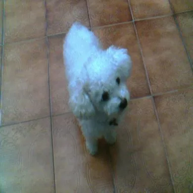 nick