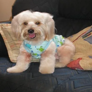 Leo