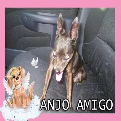 PATTY PERFEITA