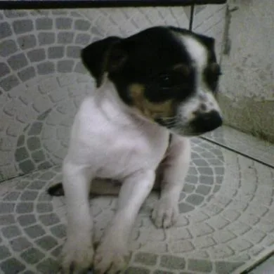 billy