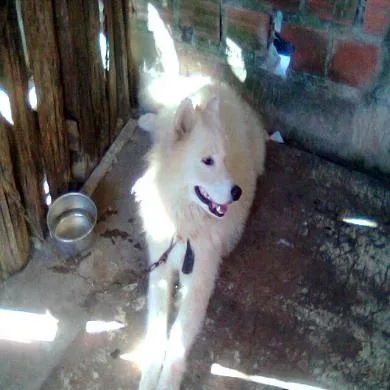 Logan