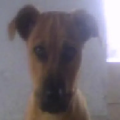 Spike