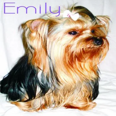 Emily