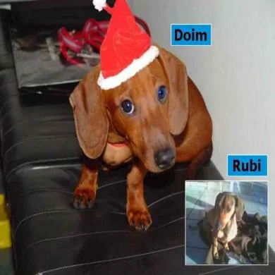 Doin e Rubi