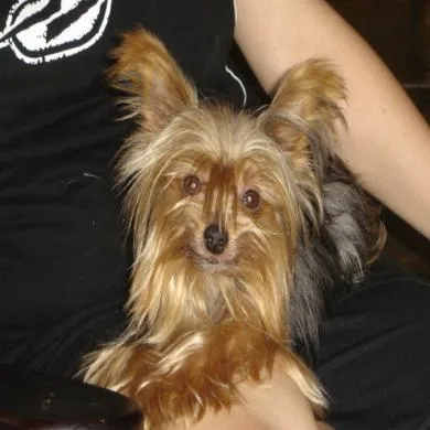 KIKA