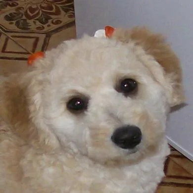 Latifa