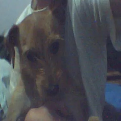 baby