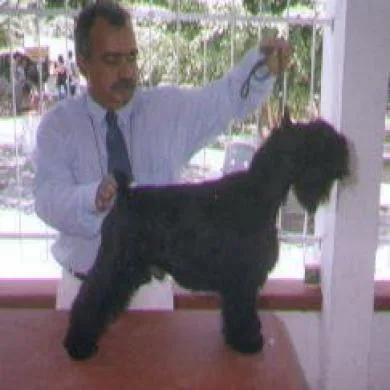 ATHOS DO GRAJAU
