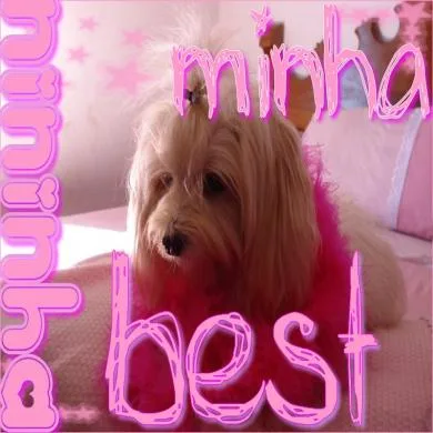 Nininha
