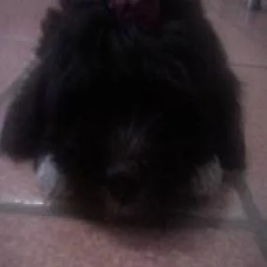 BABY