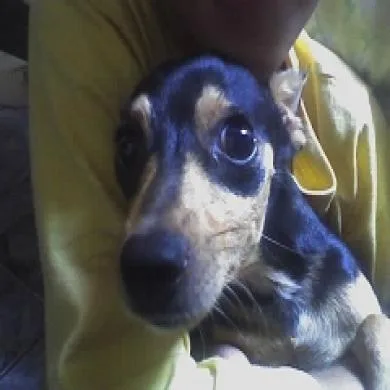 billy