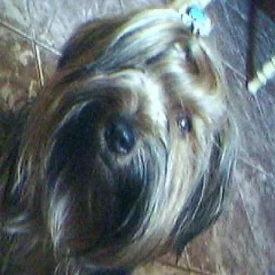 Osvaldinho