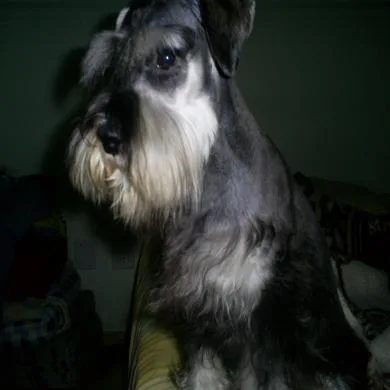 Oliver