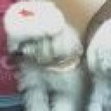 babi