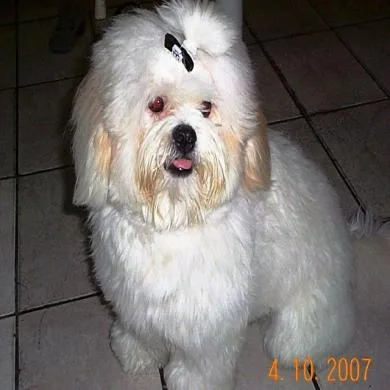 Théo