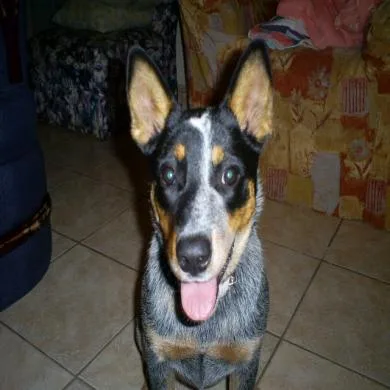 Kira
