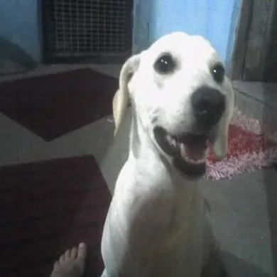 PRINCESA