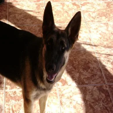 raika