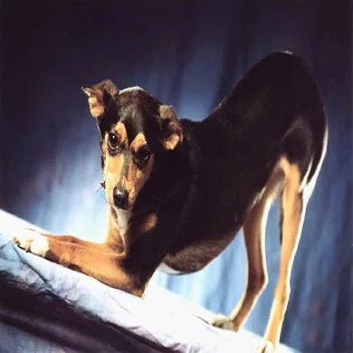 Gina