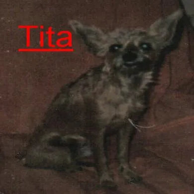 Tita