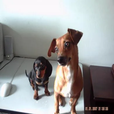 Nikita e Clarita