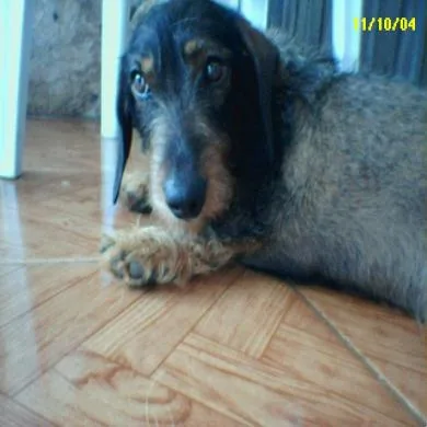 Luly