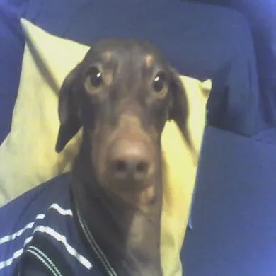 Nininha
