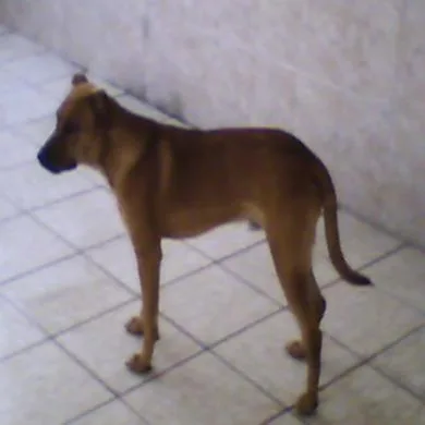 Spike