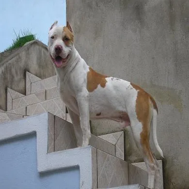 Zeus do Keruak