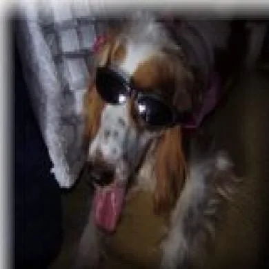 Belinha