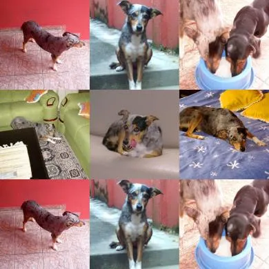 Dona Mocinha  ou Little kid (apelido)