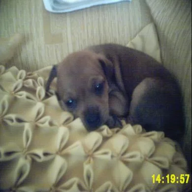 ***Belinha***