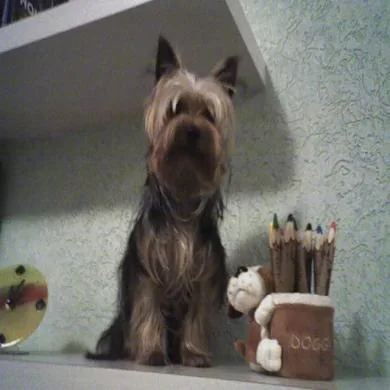 Athos