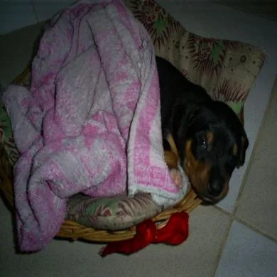 Ralf