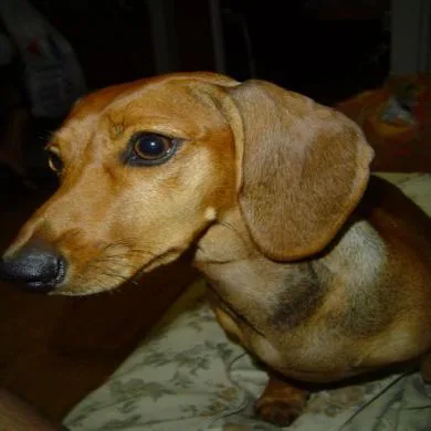 pit