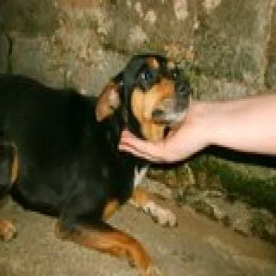 Kika