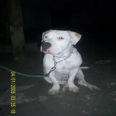 Athos BrenY