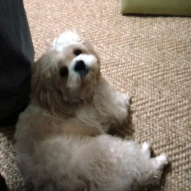 Meike